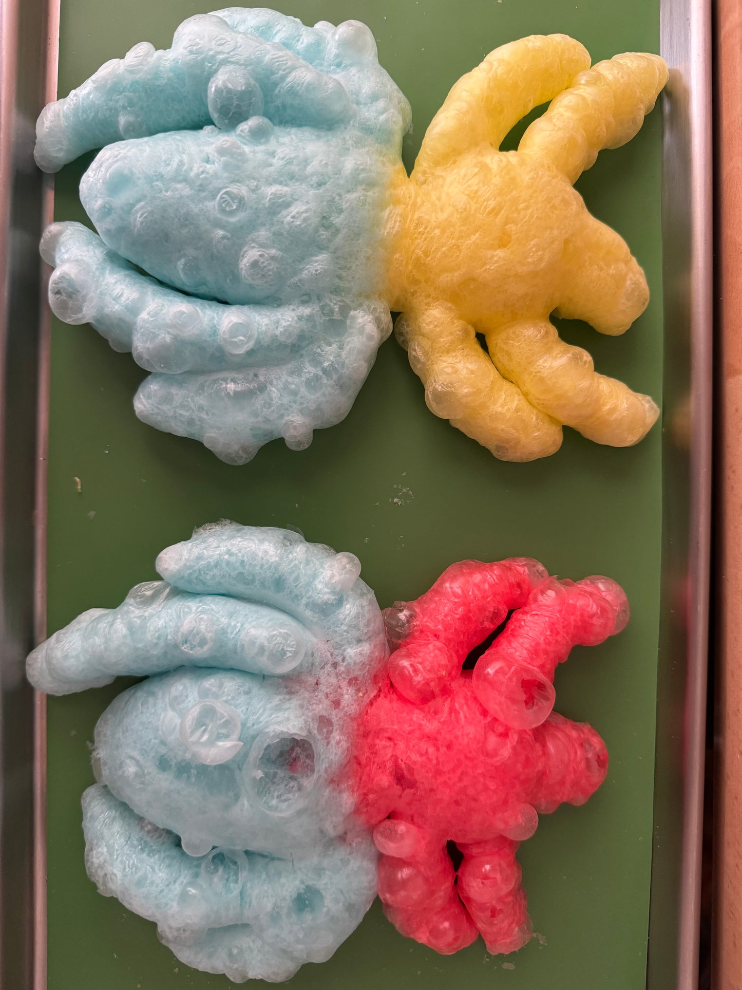 Freeze Dried Giant Spider
