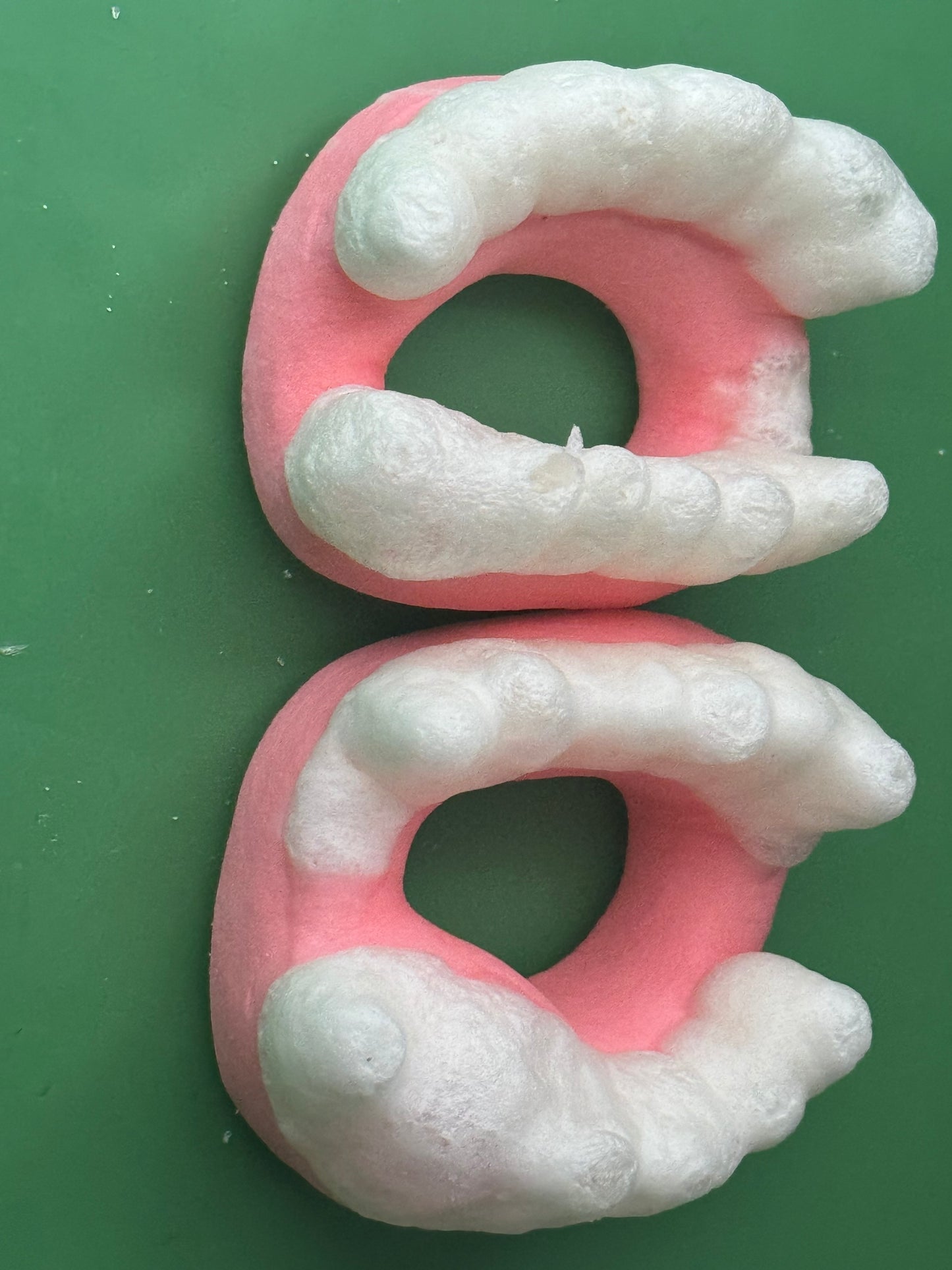 Freeze Dried Teeth