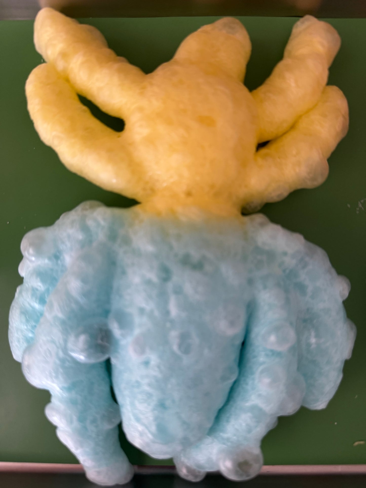 Freeze Dried Giant Spider