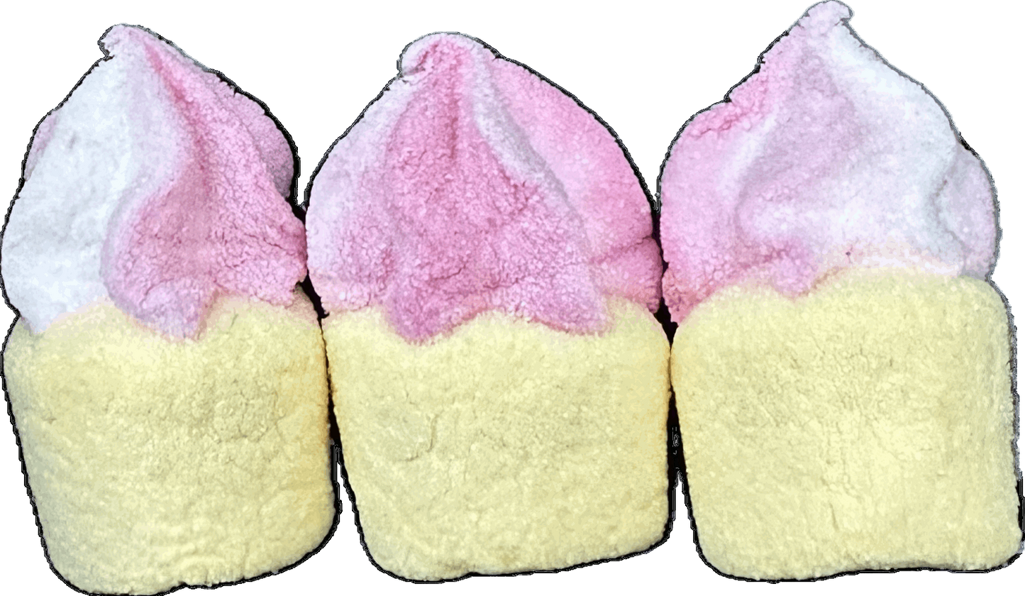 Freeze Dried Cupcake Marshmallows
