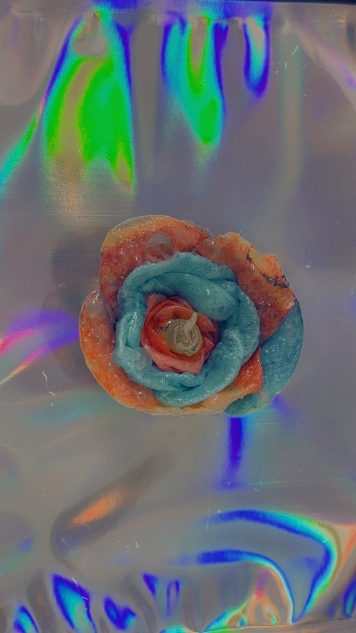 Freeze Dried Rose