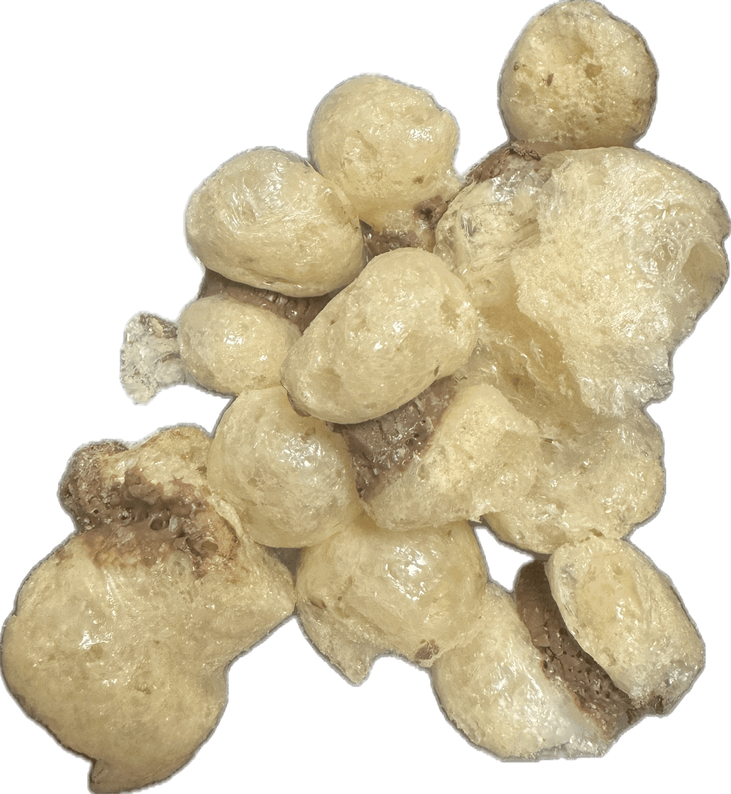 Freeze Dried Chocolate Caramel Pockets