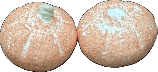 Freeze Dried Pumpkin Mallows