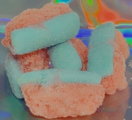 Freeze Dried Watermelon Slices (Halal)