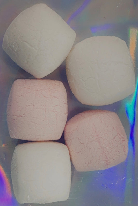 Freeze Dried Big Pink & White Marshmallows
