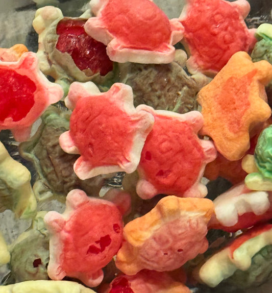 Freeze Dried Turtles