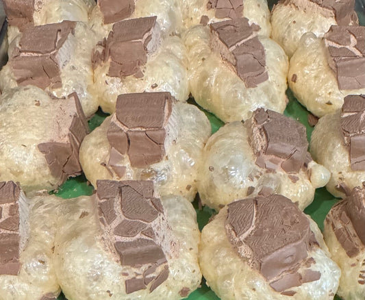 Freeze Dried Caramel Nougat Bites