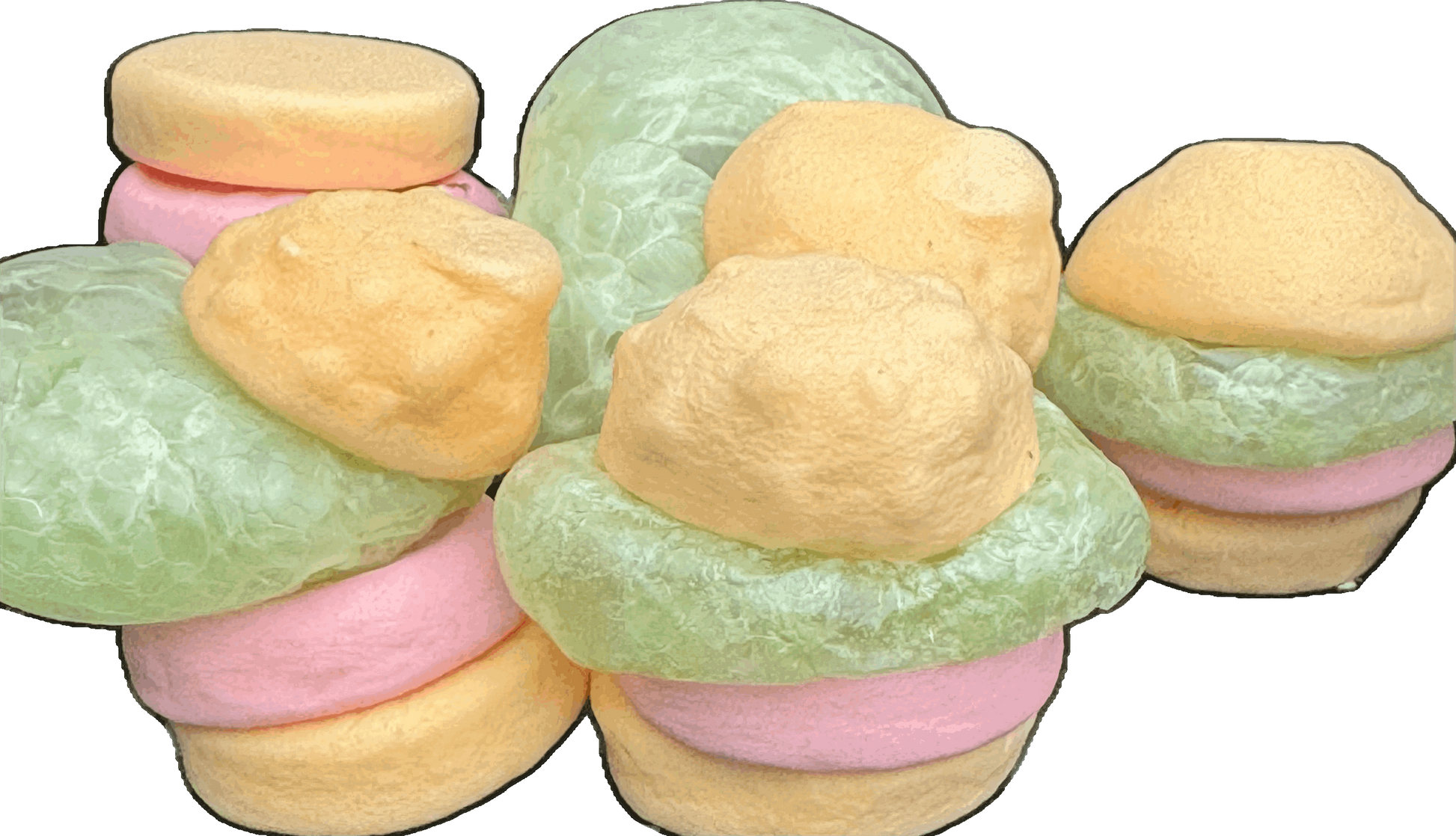 Freeze Dried SPONGEY BURGZ