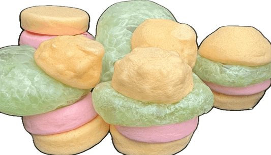 Freeze Dried SPONGEY BURGZ