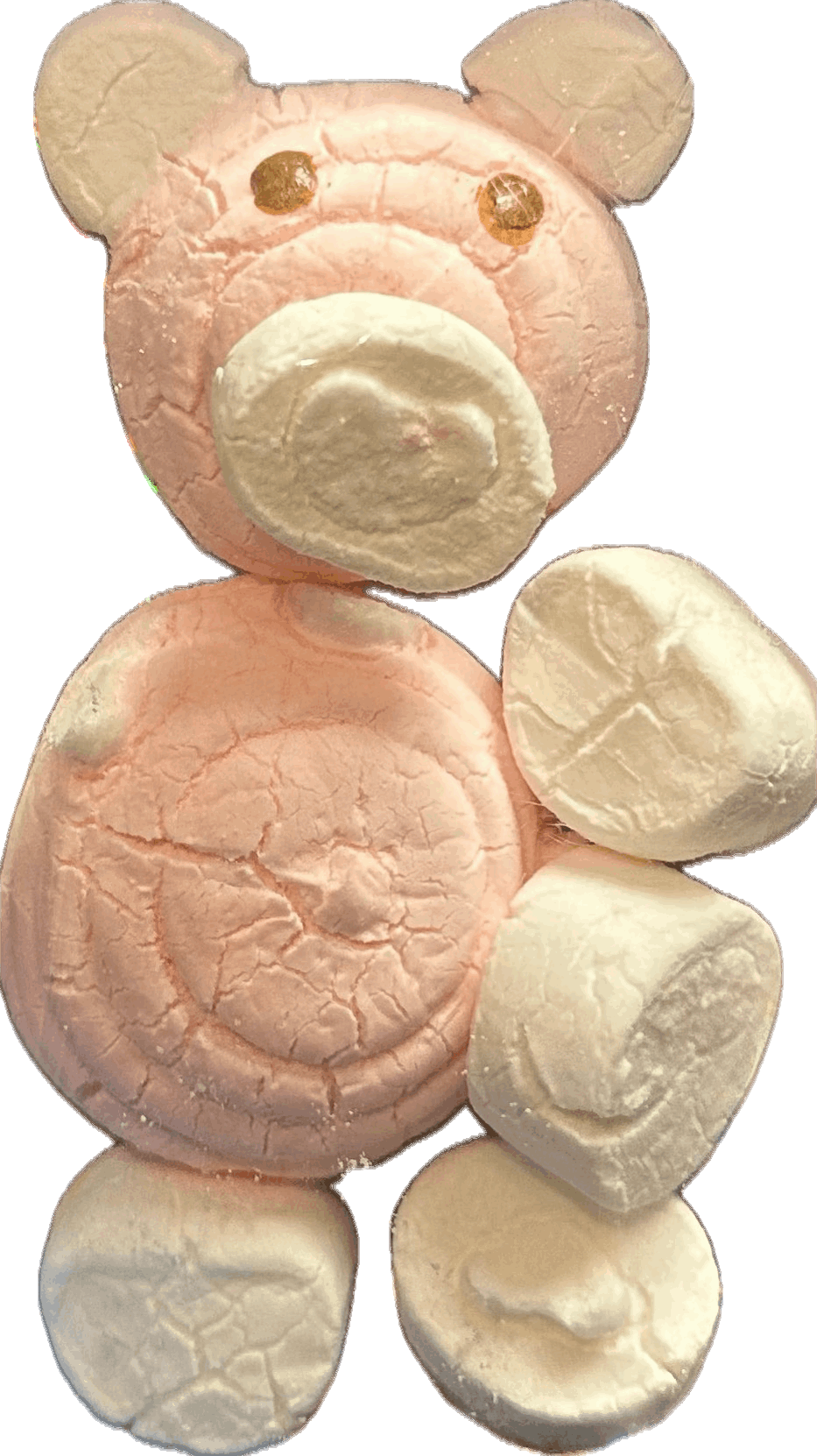 Freeze Dried Pork Chop Mallows