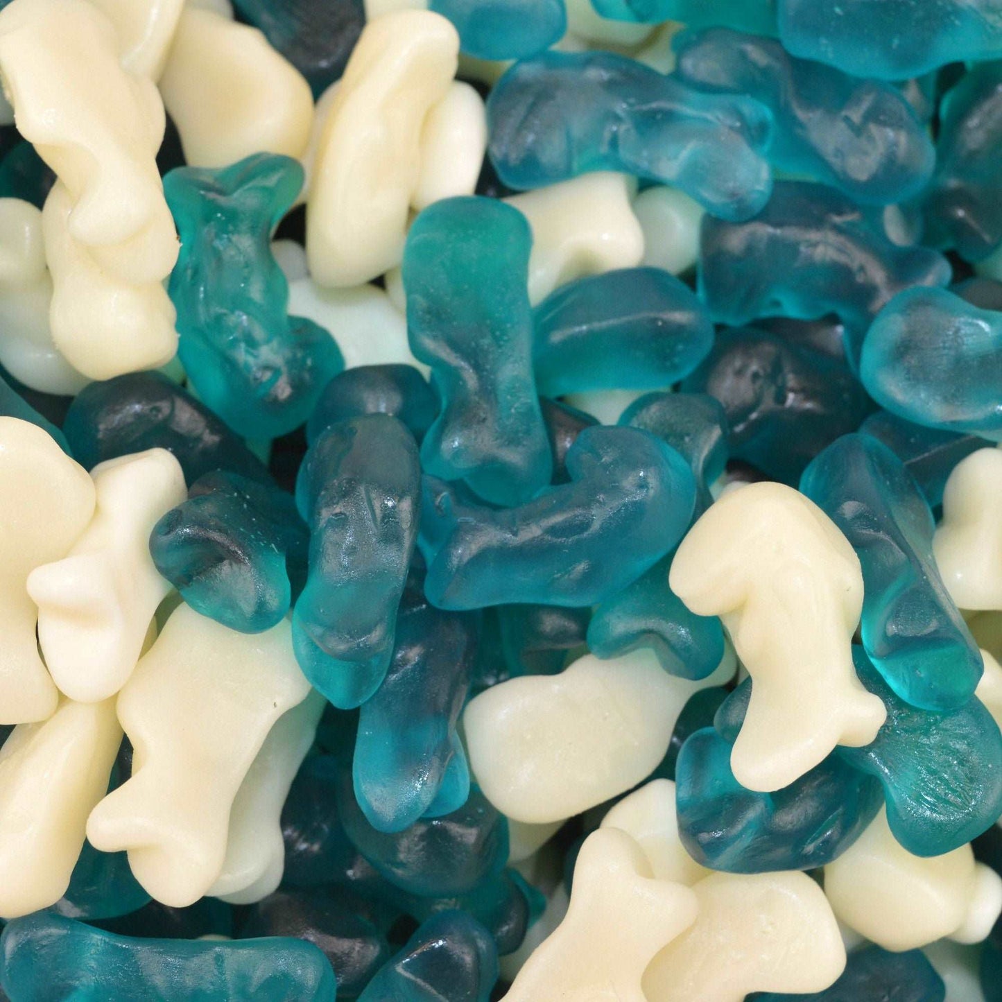 Dolphins