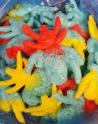 Freeze Dried Giant Spider